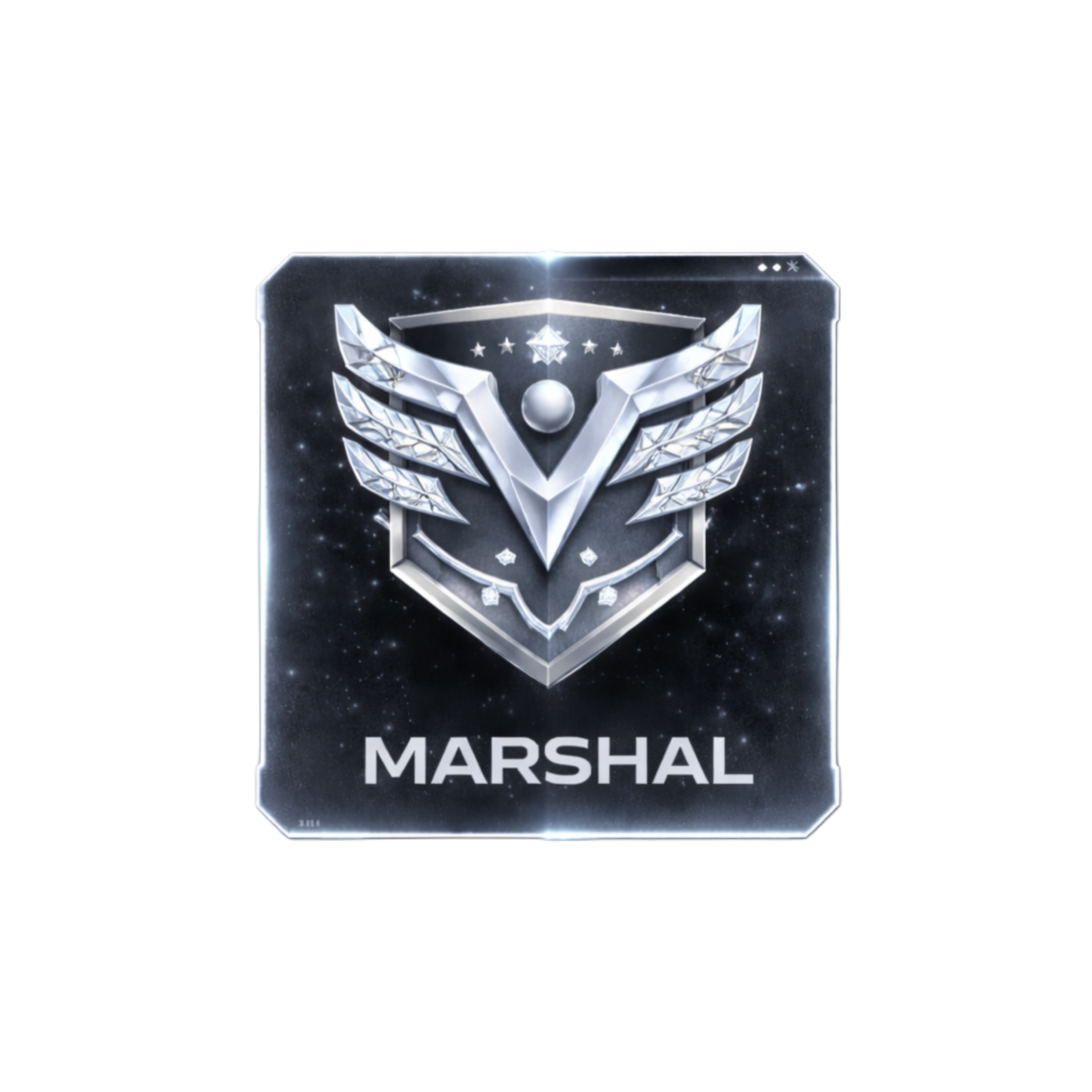 MARSHAL